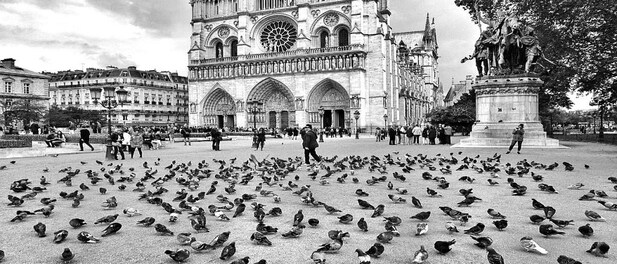 A walk down Notre-Dame’s memory lane