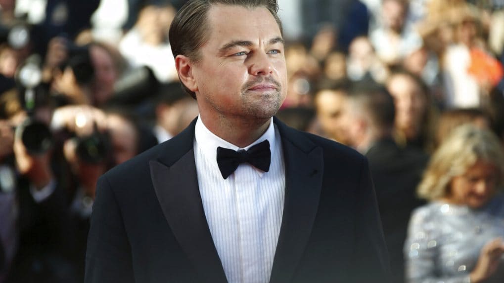 Filmstar Leonardo DiCaprio invests in French champagne brand Telmont