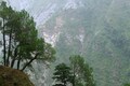 Forest fires impact typical Himalayan trees