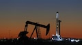 India's strategic petroleum reserve levels at 55% capacity, says official