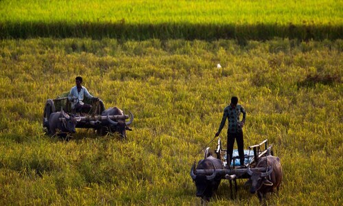 Agri, food sectors can help India generate $813 billion in revenue by 2030: Report