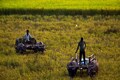 Indian agriculture now a surplus sector, must think about diversification, says Niti Aayog