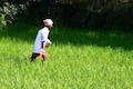 Department of Fertilisers seeks additional subsidy of Rs 1.09 lakh crore