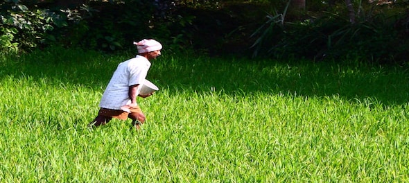Department of Fertilisers seeks additional subsidy of Rs 1.09 lakh crore
