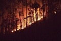 Increasing dry season fires in Kerala spotlight debate around man-made fires