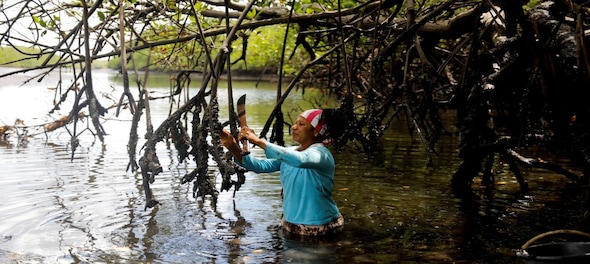 World Wetlands Day 2024 | Why community-centric restoration of wetlands is crucial for human well-being