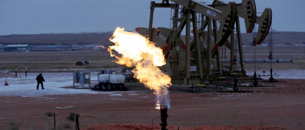 What steps US, Saudi Arabia took to cap rising oil price