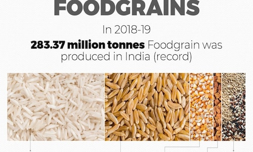 India's foodgrain production hits record high. These are the most-produced grains