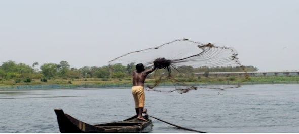 Union Budget 2019: Government announces new scheme to boost fish processing; to allocate Rs 3,737 crore to new ministry