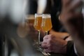 Micro-breweries to bring more 'cheers' to Uttar Pradesh