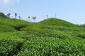 ABB digitises gas supplies control for tea gardens, industrial units