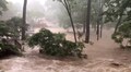Flood submerges 90% of Kaziranga, Assam imposes restrictions