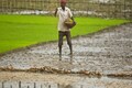 Weak monsoon in July may hit cotton, soybean, maize sowing, says Skymet