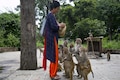 Nepal woman spends her day feeding temple monkeys