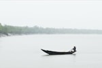 Surviving in the fragile Sundarbans delta: Will the new government respond?