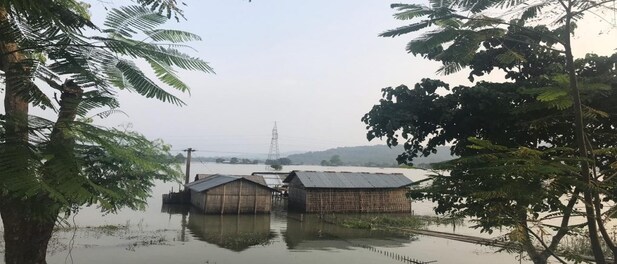 Flood victims in Assam get ready for NRC publication, stand guard in submerged homes for documents and cattle