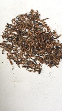 1 kg of ACIL gold tea, produced from 100-year-old bushes, sells for Rs ...