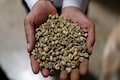 Coffee prices at 4-year high, here's why