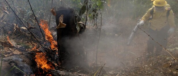 G7 offers emergency aid to fight Amazon forest fires