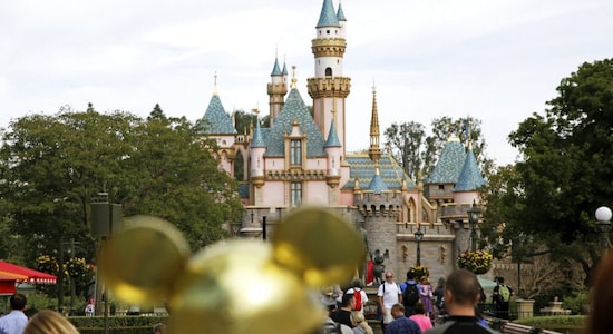 International traveller with measles visited Disneyland