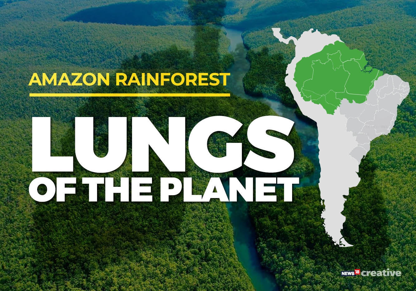 Amazon Rainforest Fire: Why Amazon Forest Is Lungs Of The Planet