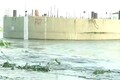 Flood alert sounded in Delhi after Yamuna crosses danger mark