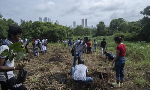 Aarey colony protests: Everything you need to know