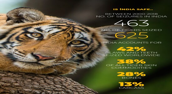 CNBCTV18 CNBCTV18