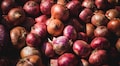 11,000 tonnes of onions to reach India from Turkey in a bid to control rising prices
