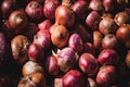 Government to import 1 lakh tonnes onion to check price rise