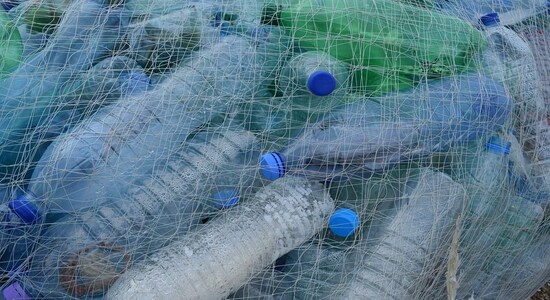 Getting rid of single-use plastic: 10 lessons from the world