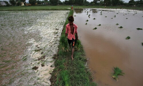 Why strong monsoon rains are not necessarily good news for Indian farmers