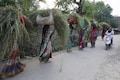 Women participation in India's labour force stagnated, says report