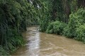 Badly designed highways splinter Goa’s waterways, disrupting local hydrology