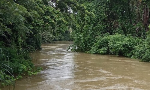 Badly designed highways splinter Goa’s waterways, disrupting local hydrology