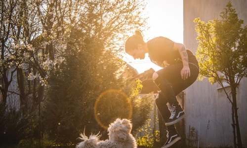 Owning A Dog Lowers Risk Of Death, Improves Heart Health, Shows Study