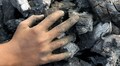 Power shortage: Maharashtra, Rajasthan, TN, UP need to clear coal dues, says Power Secretary Alok Kumar