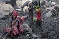 Coal crisis: Primarily dependent on Coal India; have stock for a month, says Star Cement