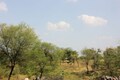 Rajasthan villages fight to protect their common lands from mining activities