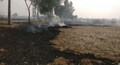 Delhi pollution: The ground reality of stubble burning in Punjab
