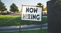 Naukri JobSpeak Index shows recovery: Experts map hiring trends