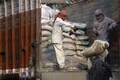 JK Lakshmi Cement surges 9% to hit 52-week high on strong Q4 earnings