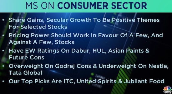 Morgan Stanley on Consumer Sector: 