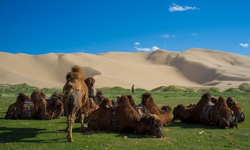 In Pictures: Here are 10 places in Asia that everyone should visit