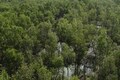 Are states being rewarded enough for protecting forests?