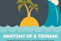 In Pictures: Anatomy of a Tsunami
