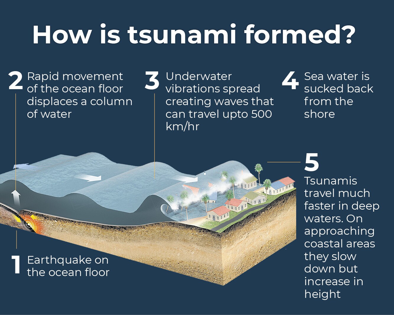 Umami__tsunami