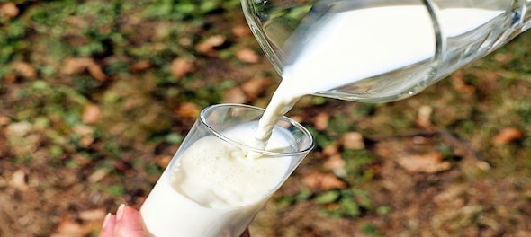 Milk prices may remain painfully high for at least few more months