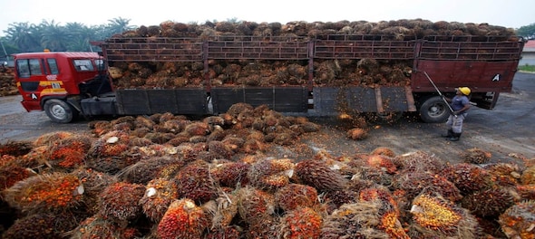 Refined palm oil cargoes from Malaysia stuck at Indian ports after import curbs