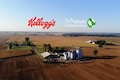 Kellogg to split into 3 companies — snacks, cereals, and plant-based food